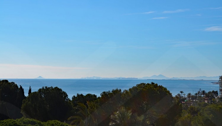 AMAY CAMPOAMOR (3)