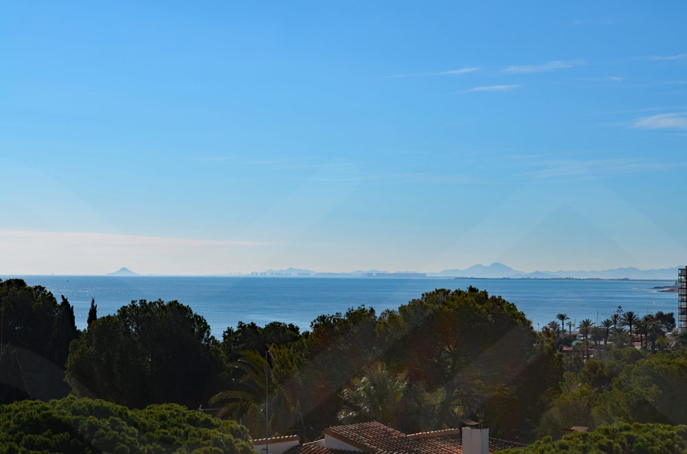 AMAY CAMPOAMOR (3)