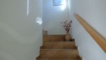 CAM10126-(19)