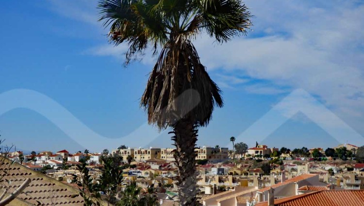 palm view beautiful mediterranean villa in guardamar
