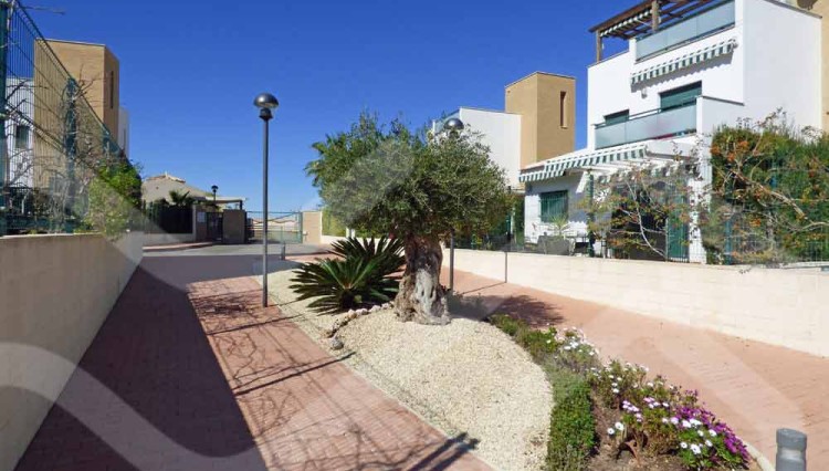 montesol walking path