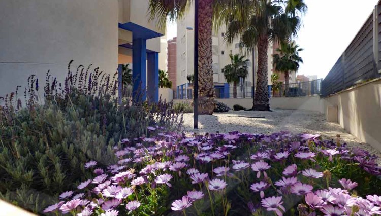 blomster utenfor leilighet i guardamar