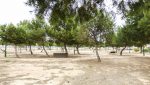 beautiful apartment la zenia costa blanca sea views