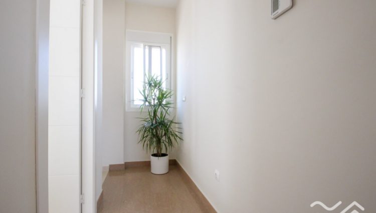 CAM10220-25