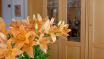 CAM10226-Web-26
