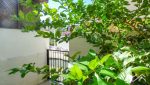 CAM10229-Web-20
