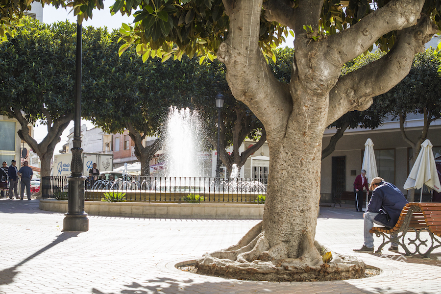 plaza-dolores
