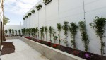 exterior lovely 3 bedroom villa in orihuela costa