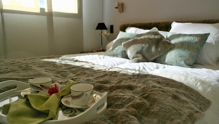 inerior view new apartments with spa in el raso