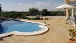 amazing villa with pool and orange fields