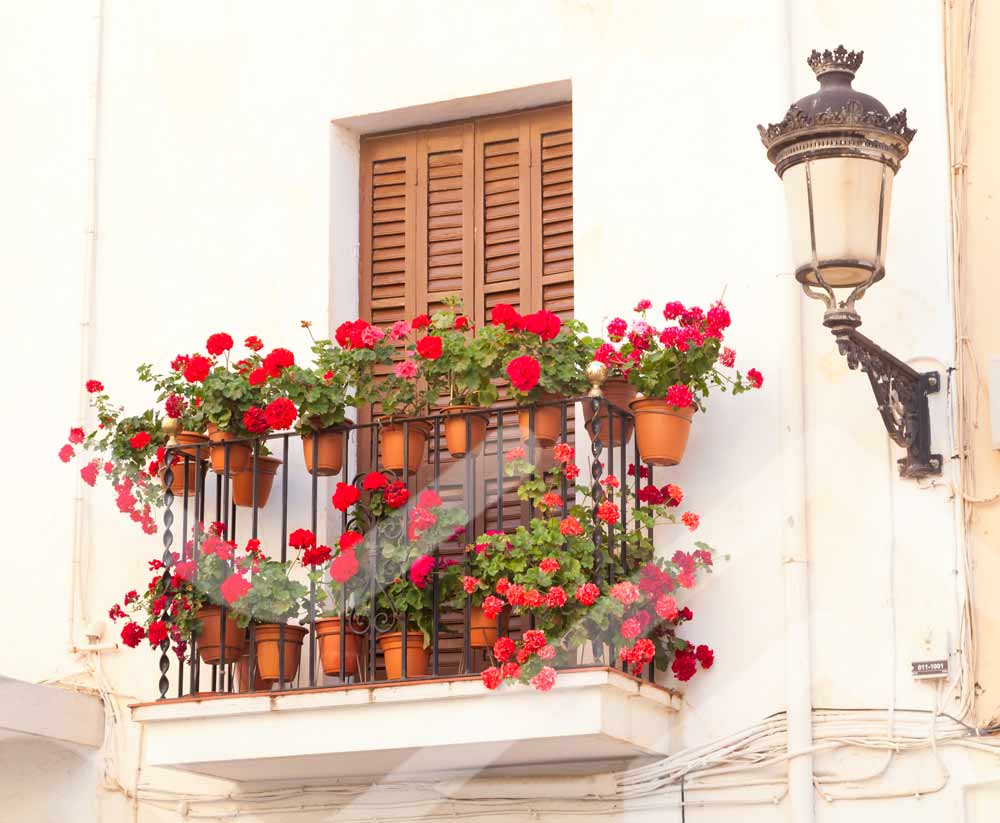 balcony daya nueva
